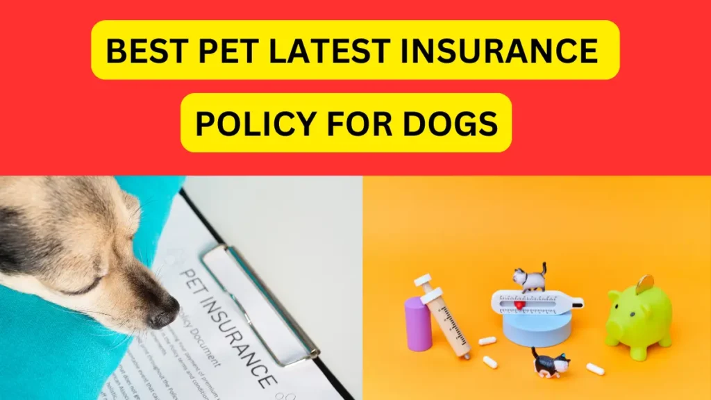 best pet latest insurance Policy for dogs in india 2024 in hindi